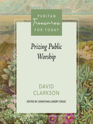cover image of Prizing Public Worship